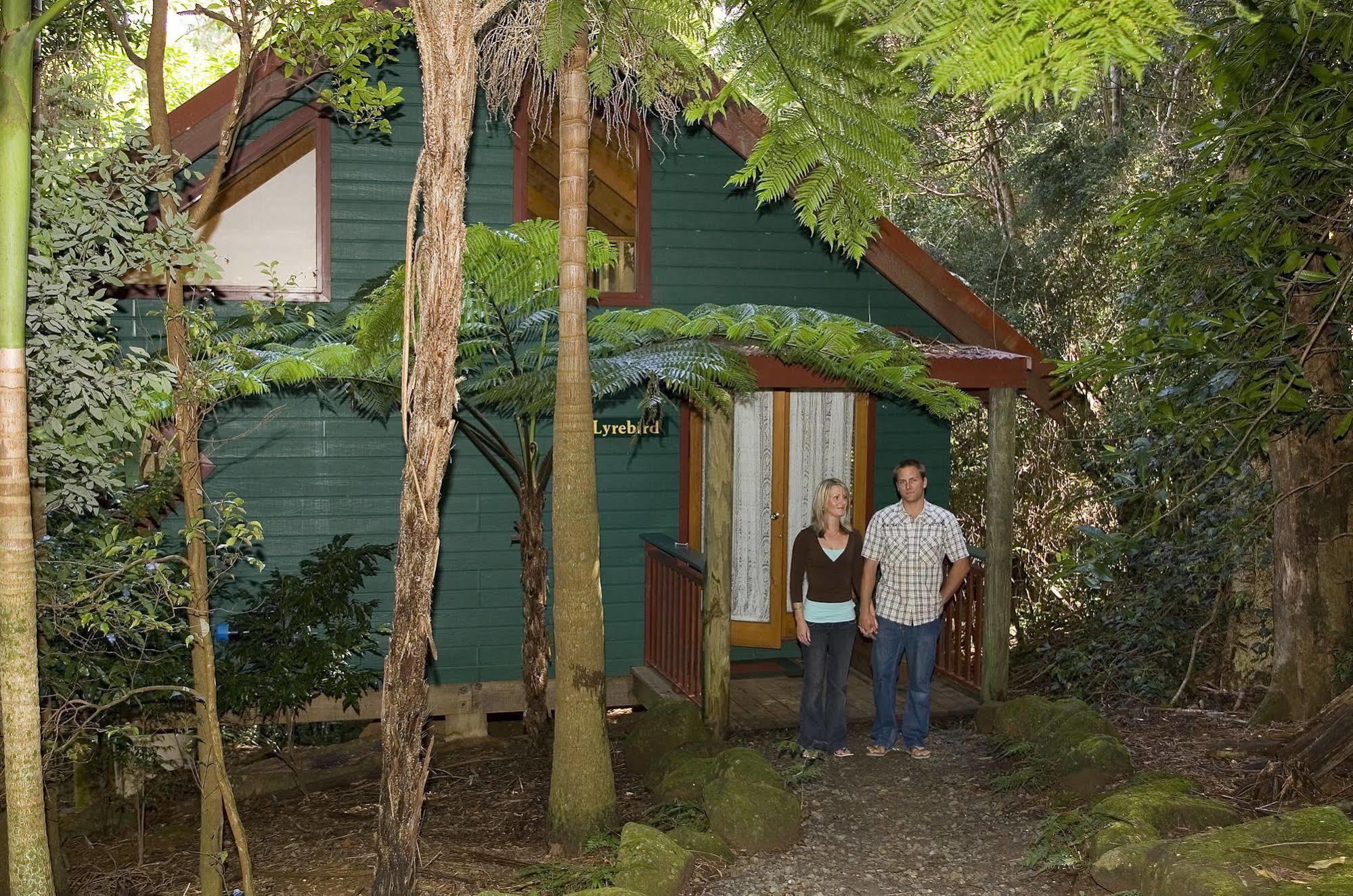Villa Springbrook Lyrebird Retreat Exterior foto