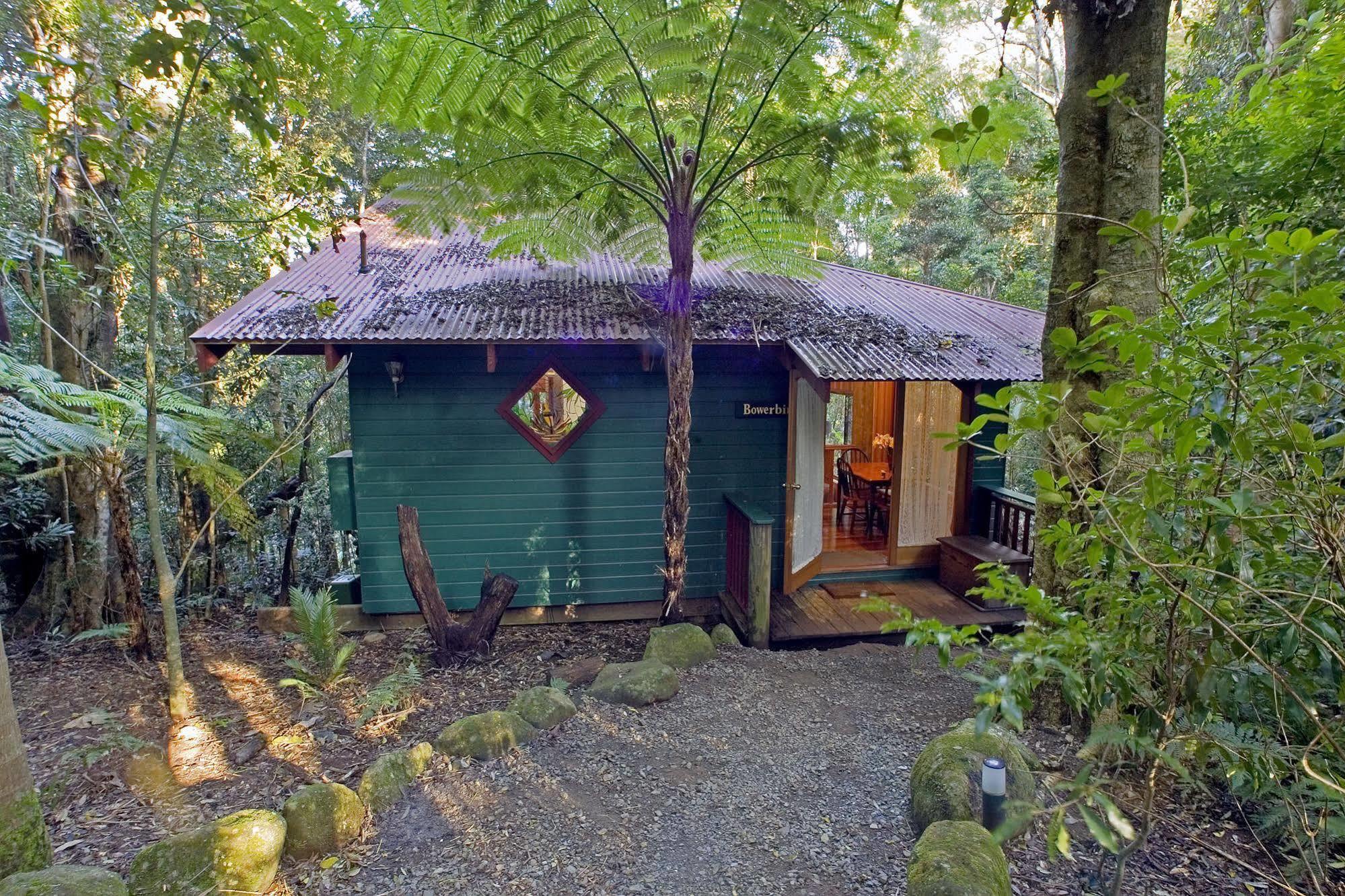 Villa Springbrook Lyrebird Retreat Exterior foto
