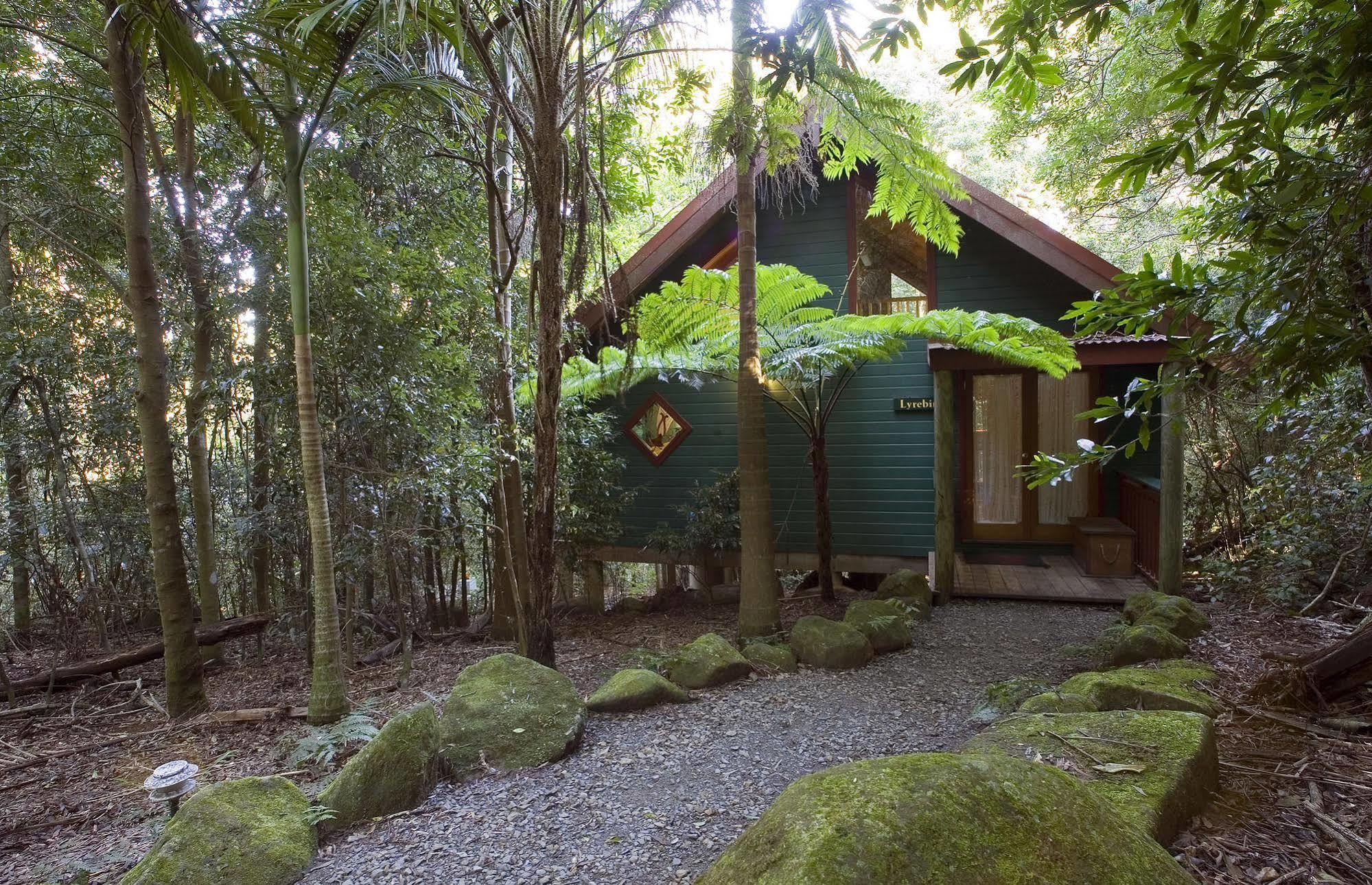 Villa Springbrook Lyrebird Retreat Exterior foto