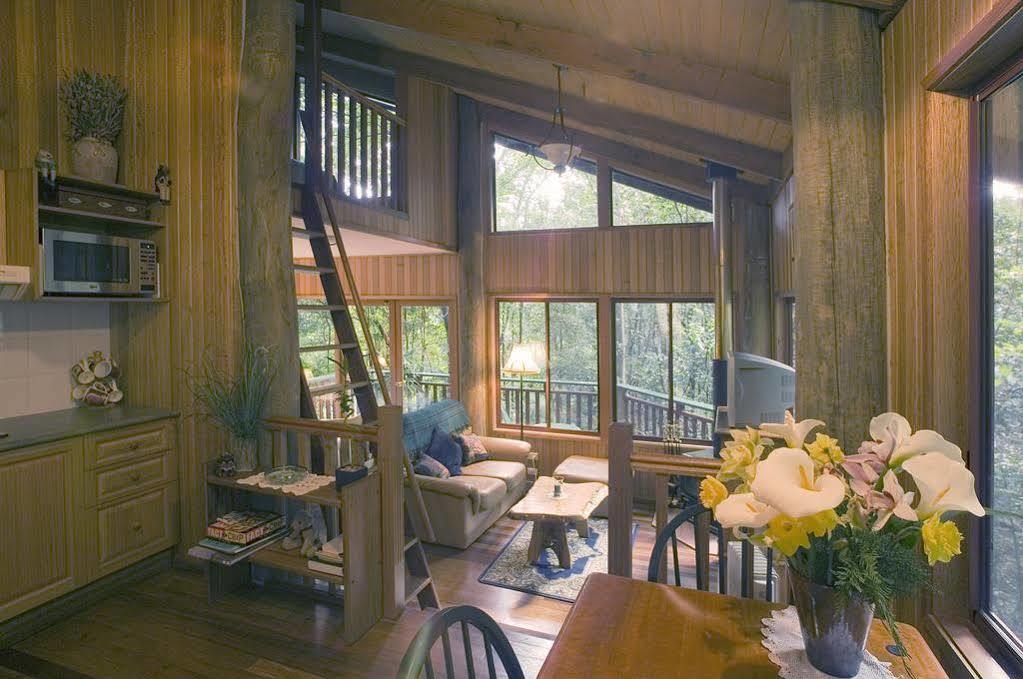 Villa Springbrook Lyrebird Retreat Exterior foto